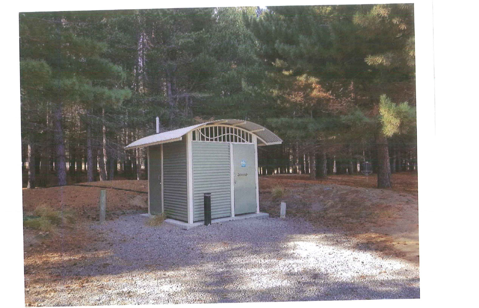 A picture containing text, tree, ground, outdoor

Description automatically generated